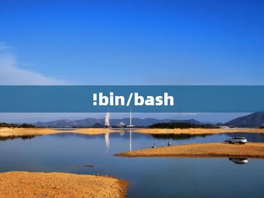 !bin/bash