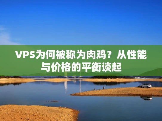 VPS为何被称为肉鸡？从性能与价格的平衡谈起