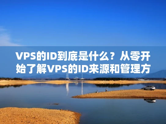 VPS的ID到底是什么？从零开始了解VPS的ID来源和管理方式
