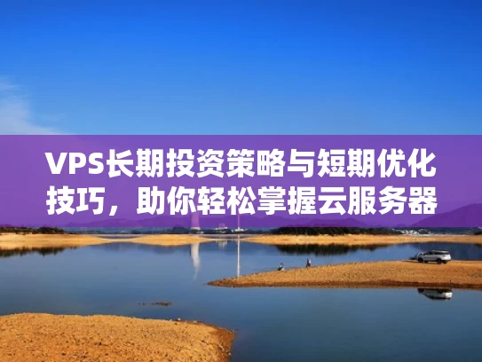 VPS长期投资策略与短期优化技巧，助你轻松掌握云服务器运营