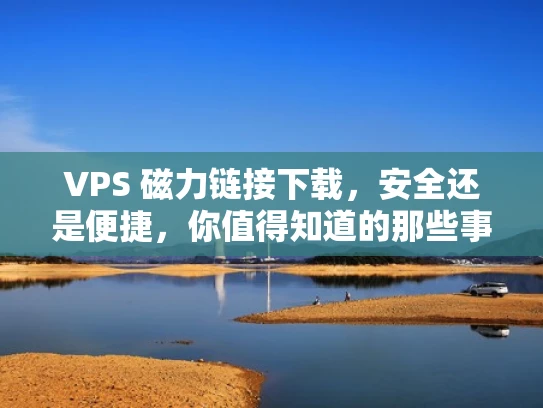 VPS 磁力链接下载，安全还是便捷，你值得知道的那些事