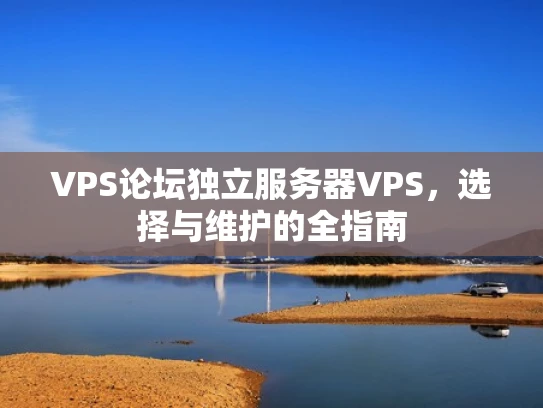 VPS论坛独立服务器VPS，选择与维护的全指南