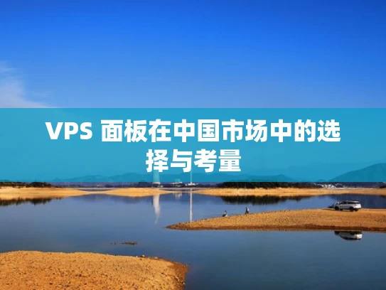 VPS 面板在中国市场中的选择与考量