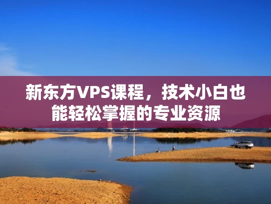 新东方VPS课程，技术小白也能轻松掌握的专业资源