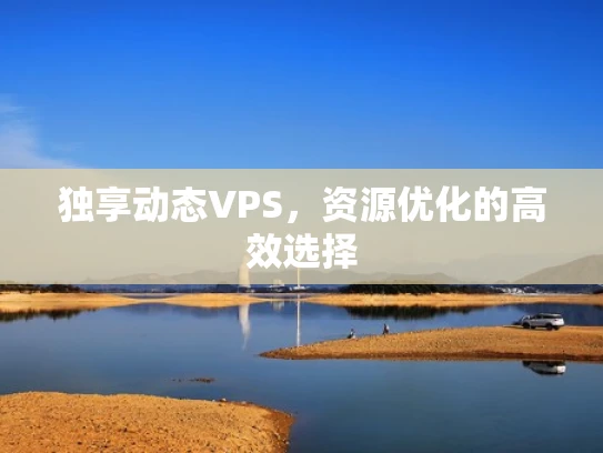 独享动态VPS，资源优化的高效选择