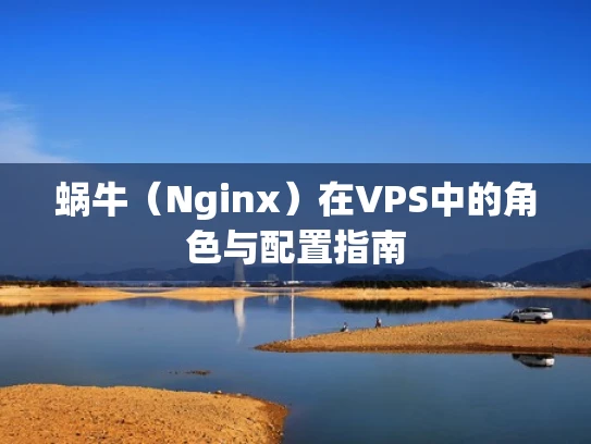 蜗牛（Nginx）在VPS中的角色与配置指南