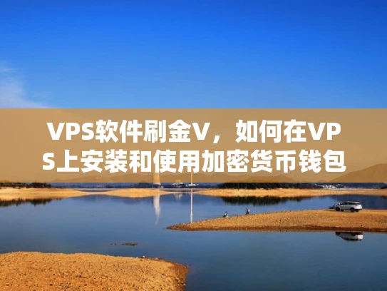 VPS软件刷金V，如何在VPS上安装和使用加密货币钱包软件