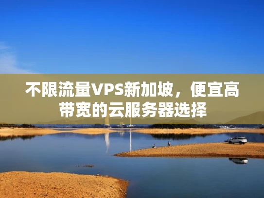 不限流量VPS新加坡，便宜高带宽的云服务器选择