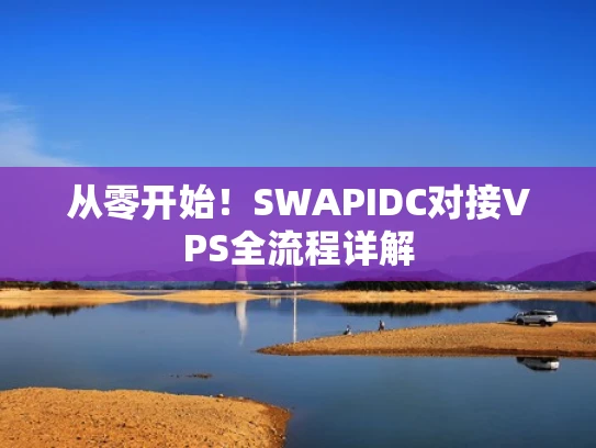 从零开始！SWAPIDC对接VPS全流程详解