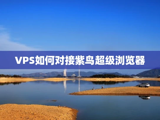 VPS如何对接紫鸟超级浏览器