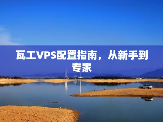 瓦工VPS配置指南，从新手到专家