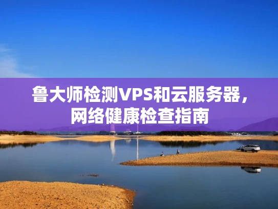 鲁大师检测VPS和云服务器，网络健康检查指南