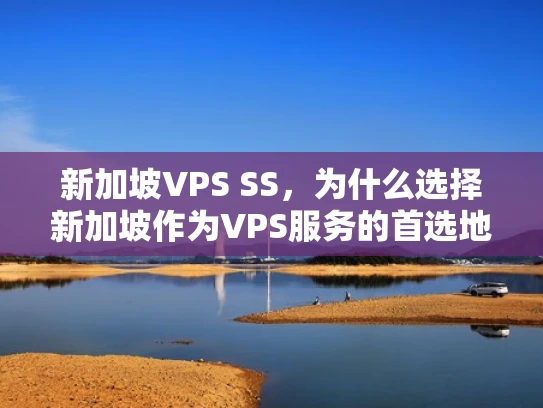 新加坡VPS SS，为什么选择新加坡作为VPS服务的首选地？