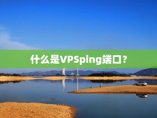 什么是VPSping端口？