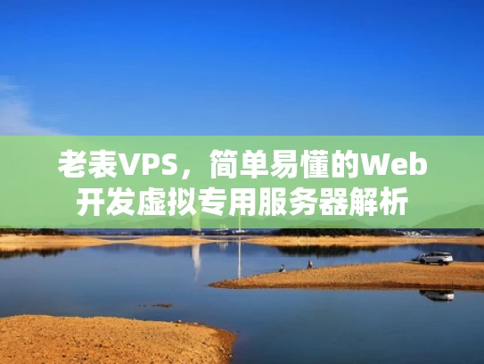 老表VPS，简单易懂的Web开发虚拟专用服务器解析