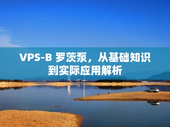 VPS-B 罗茨泵，从基础知识到实际应用解析