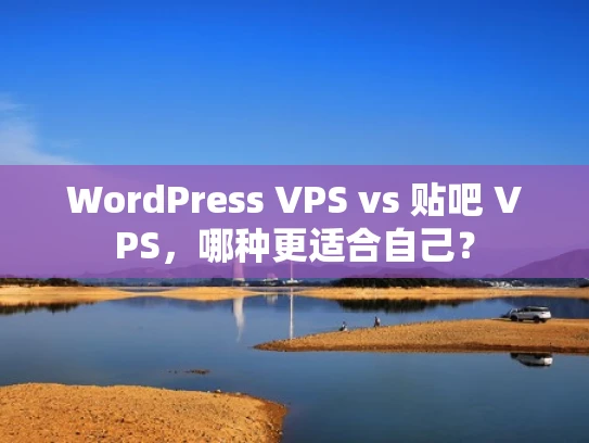 WordPress VPS vs 贴吧 VPS，哪种更适合自己？