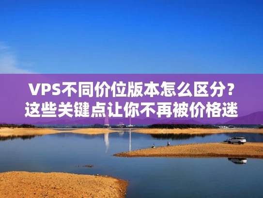 VPS不同价位版本怎么区分？这些关键点让你不再被价格迷惑