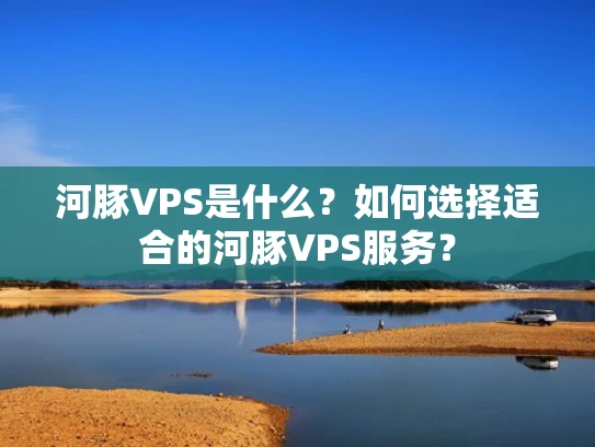 河豚VPS是什么？如何选择适合的河豚VPS服务？