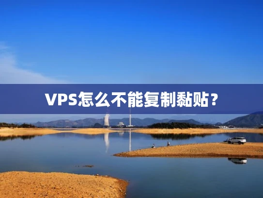 VPS怎么不能复制黏贴？