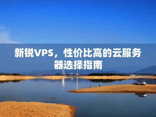 新锐VPS，性价比高的云服务器选择指南