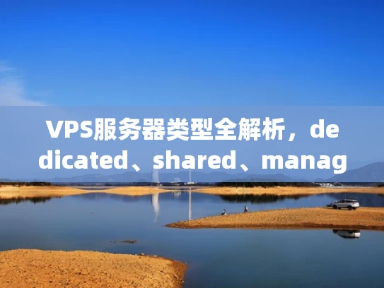 VPS服务器类型全解析，dedicated、shared、managed，哪种最适合你？
