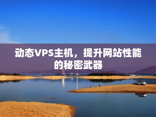 动态VPS主机，提升网站性能的秘密武器