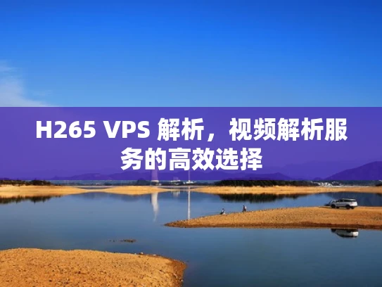 H265 VPS 解析，视频解析服务的高效选择