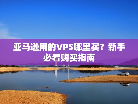 亚马逊用的VPS哪里买？新手必看购买指南