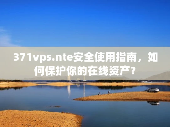 371vps.nte安全使用指南，如何保护你的在线资产？