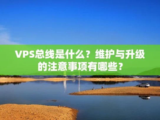 VPS总线是什么？维护与升级的注意事项有哪些？