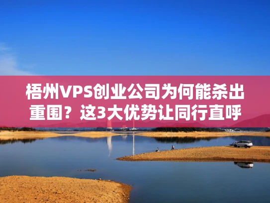 梧州VPS创业公司为何能杀出重围？这3大优势让同行直呼内行！