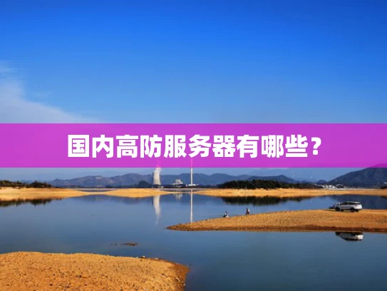 国内高防服务器有哪些？