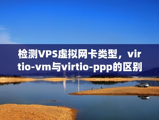 检测VPS虚拟网卡类型，virtio-vm与virtio-ppp的区别