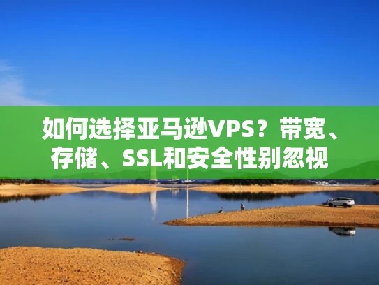 如何选择亚马逊VPS？带宽、存储、SSL和安全性别忽视