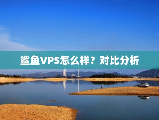 鲨鱼VPS怎么样？对比分析