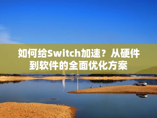 如何给Switch加速？从硬件到软件的全面优化方案