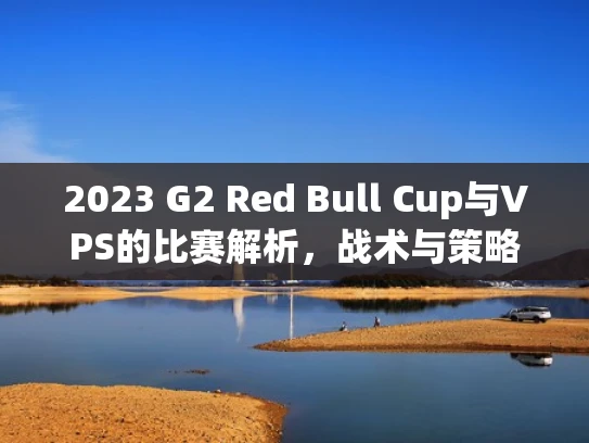 2023 G2 Red Bull Cup与VPS的比赛解析，战术与策略的较量