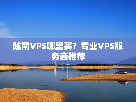 越南VPS哪里买？专业VPS服务商推荐