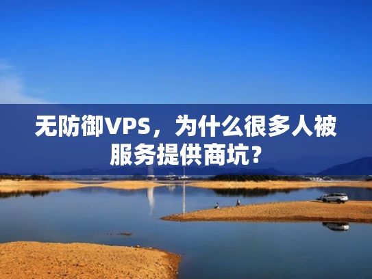 无防御VPS，为什么很多人被服务提供商坑？