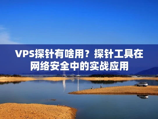 VPS探针有啥用？探针工具在网络安全中的实战应用