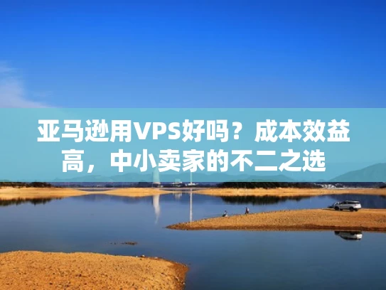 亚马逊用VPS好吗？成本效益高，中小卖家的不二之选