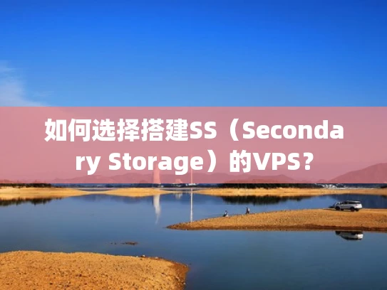 如何选择搭建SS（Secondary Storage）的VPS？