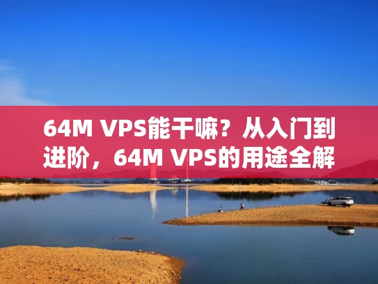 64M VPS能干嘛？从入门到进阶，64M VPS的用途全解析