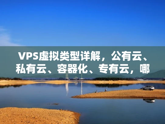 VPS虚拟类型详解，公有云、私有云、容器化、专有云，哪种最适合你？