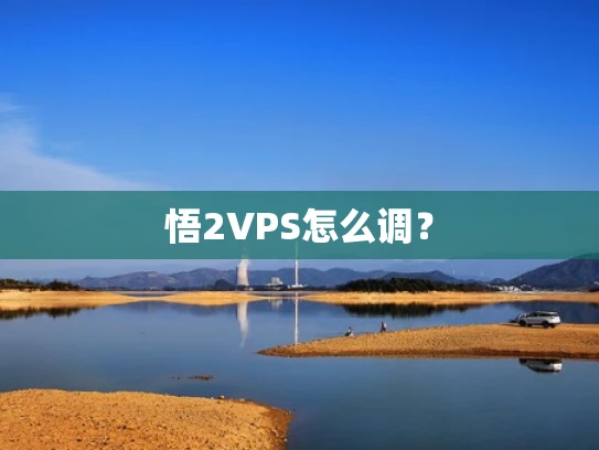 悟2VPS怎么调？