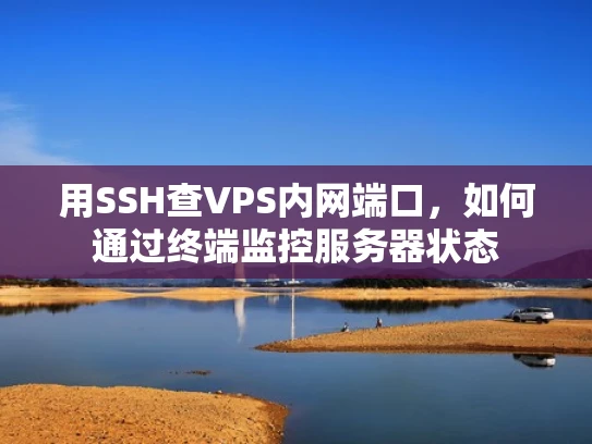 用SSH查VPS内网端口，如何通过终端监控服务器状态
