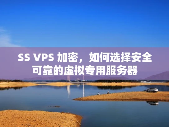 SS VPS 加密，如何选择安全可靠的虚拟专用服务器