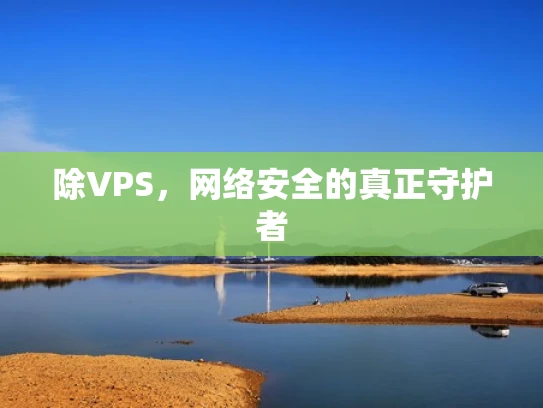 除VPS，网络安全的真正守护者