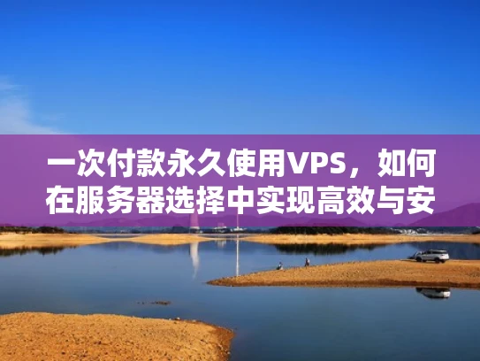 一次付款永久使用VPS，如何在服务器选择中实现高效与安全的平衡？